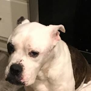 Meet your Posher, Tim